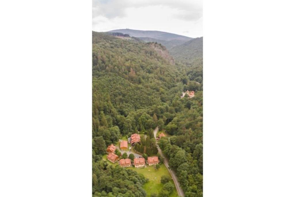 אילזנבורג Ferienwohnung Forsthaus Am Brocken, 55 Qm, 2 Schlafzimmer F7 מראה חיצוני תמונה